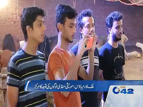 Sacrificial Cattles Farm House near Saggian Report by Fasih Ullah