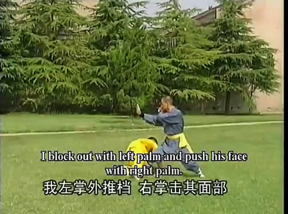 Shaolin chain hands close combat kung fu (lian shou duan da): combat methods