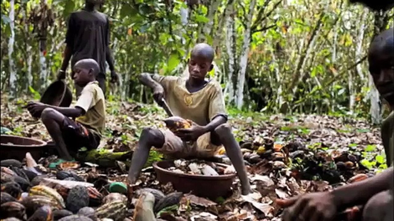 The Secret Ingredient of Chocolate