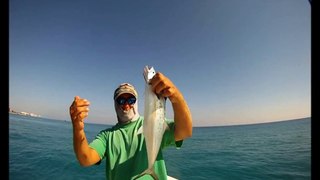 Spanish Mackerel fishing on Lucky Lu Charters