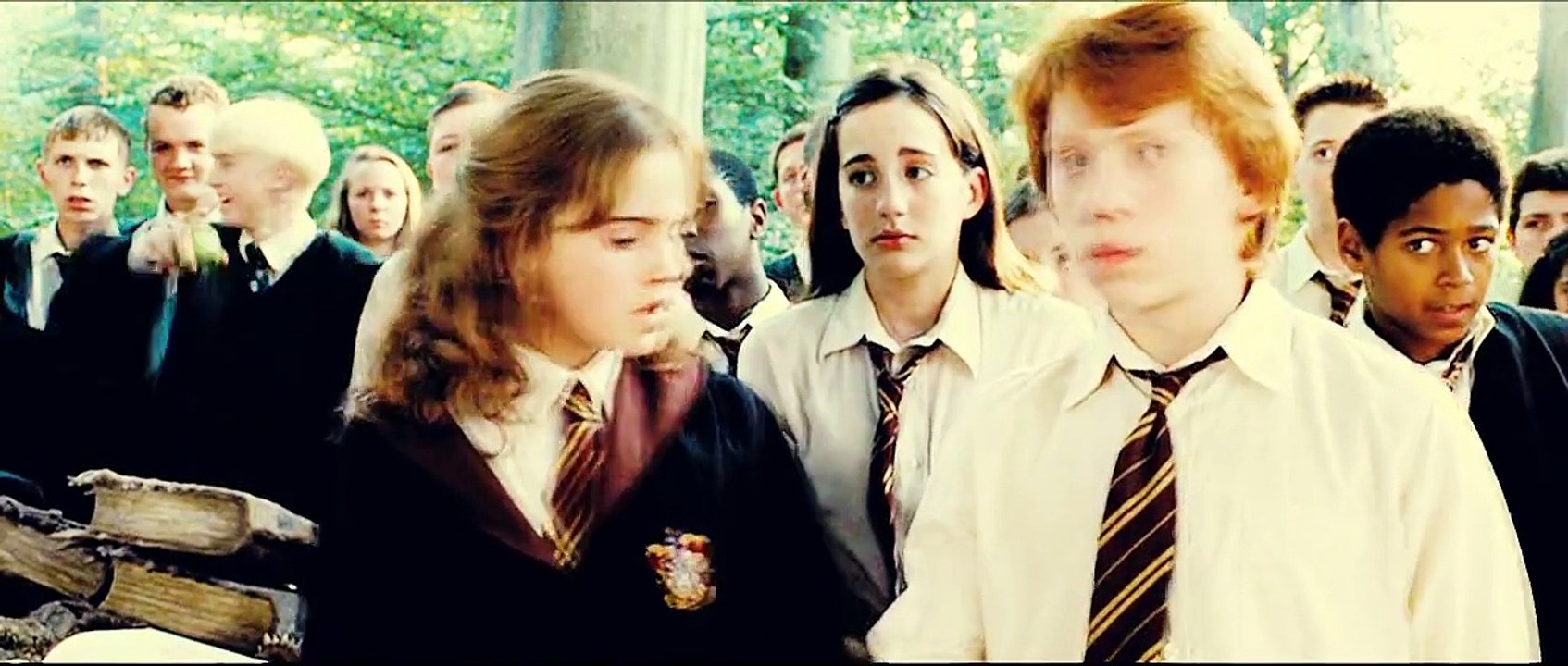 Ron & Hermione || Won't Say I'm In Love.
