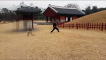Taiji Mantis Kung Fu - sections of Ba Zhou