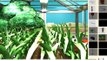 [Dassyutu] Escape from the Greenhouse (5/5 coins) Walkthrough