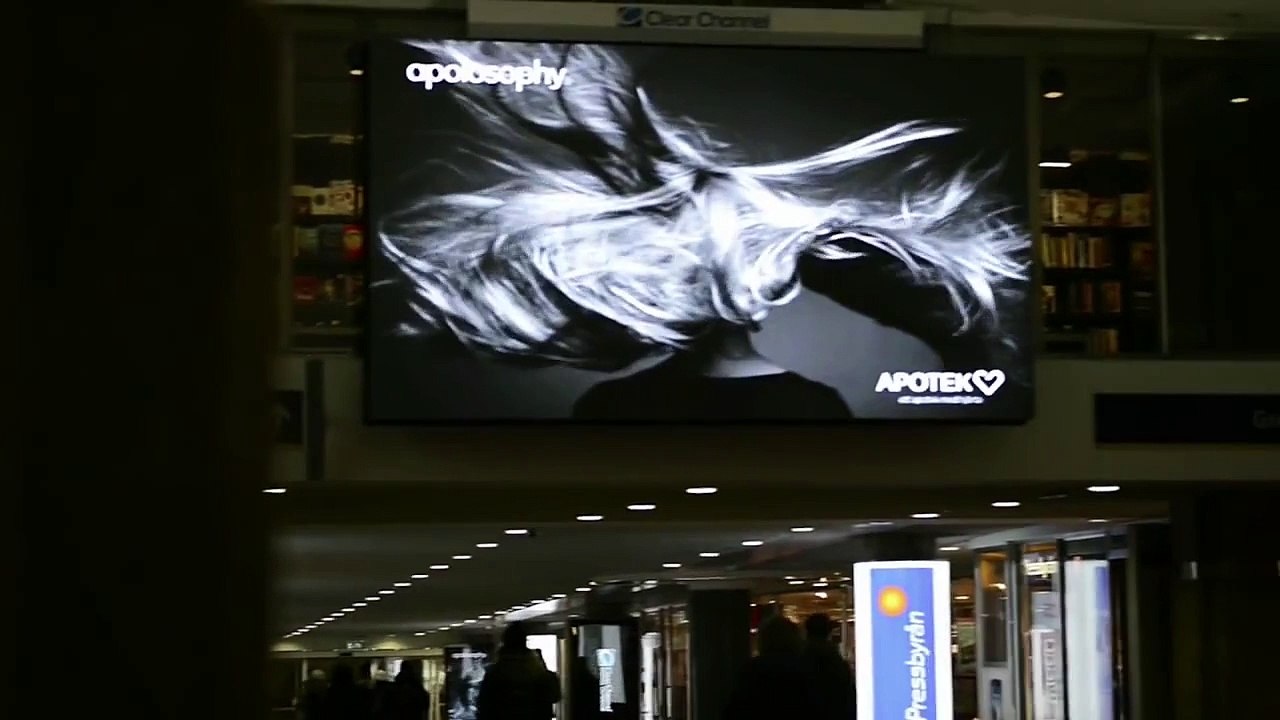 Apolosophy - Blowing in The Wind