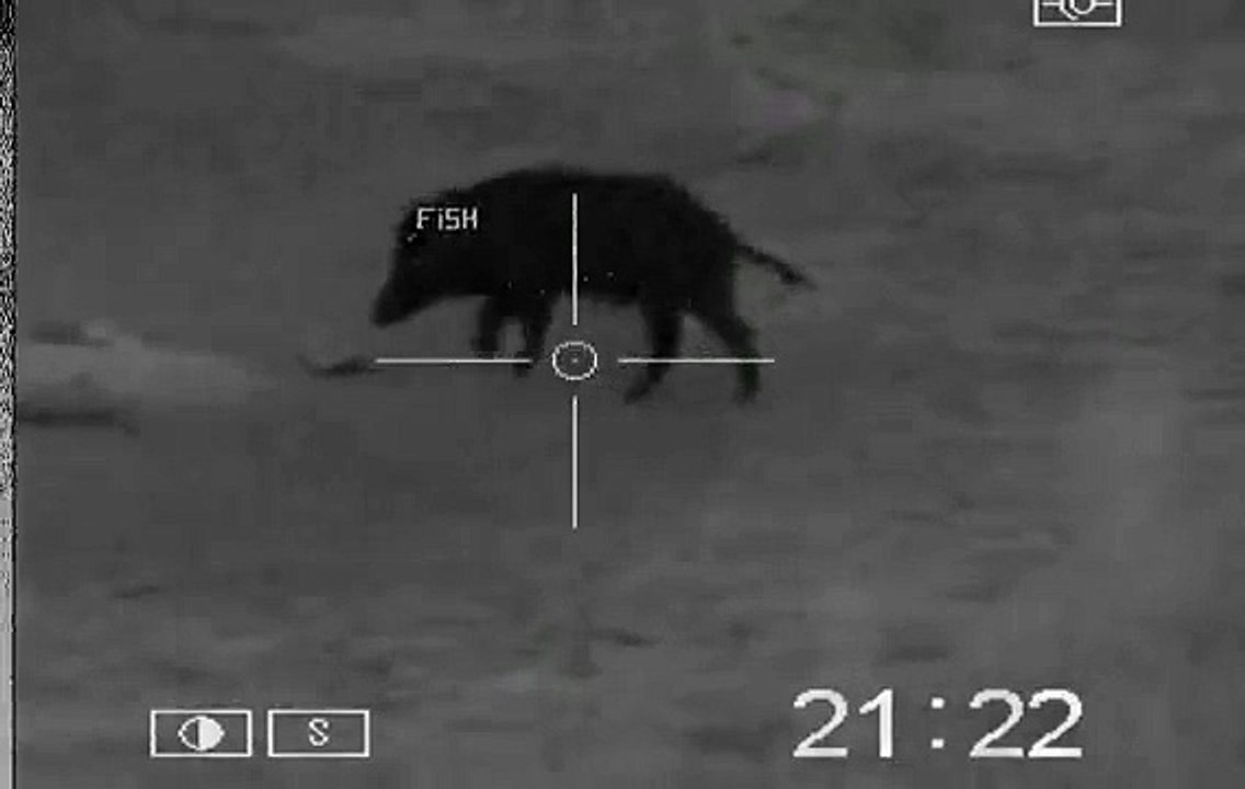 Uma bela entrada III