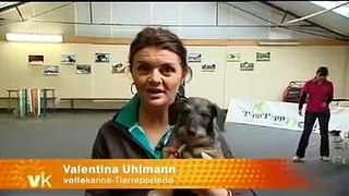 DogDancing Hundetanz ZDF 2.12.2010
