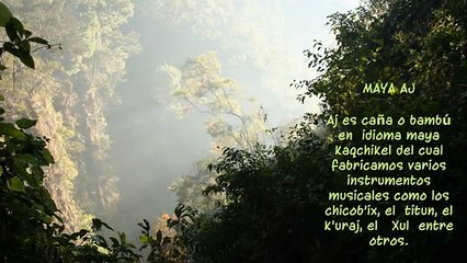 MUSICA MAYA AJ - REY KICHE