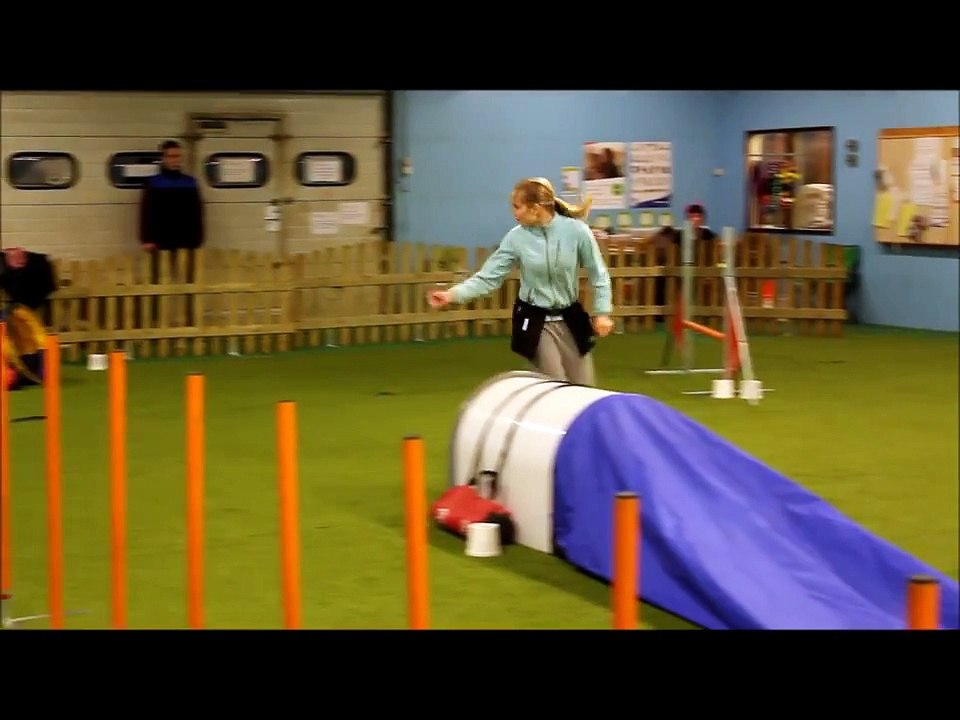 Agility treenejä 2011