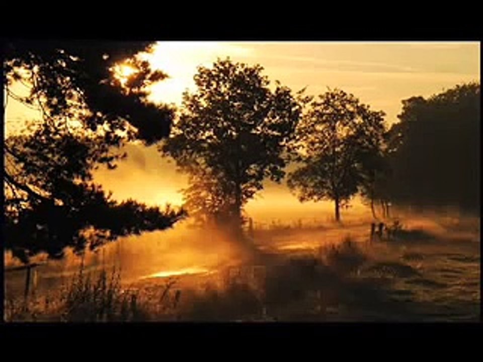 A Story About a Righteous Man Called Dinar