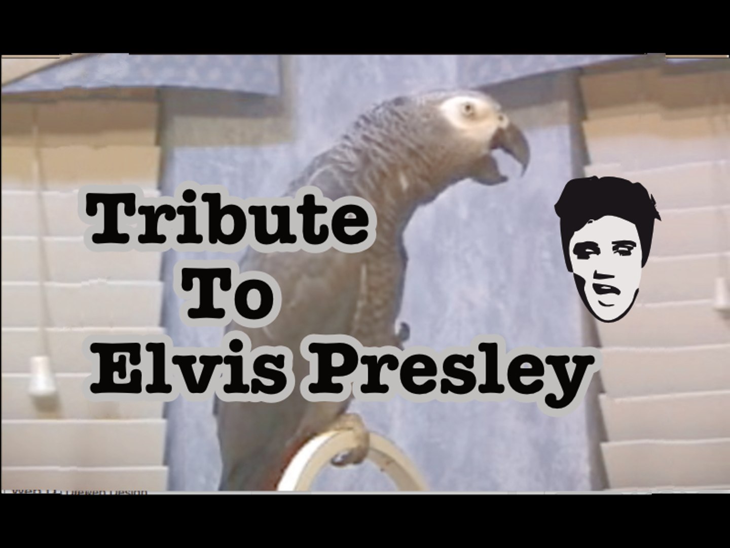 ⁣Einstein's Tribute to Elvis Presley