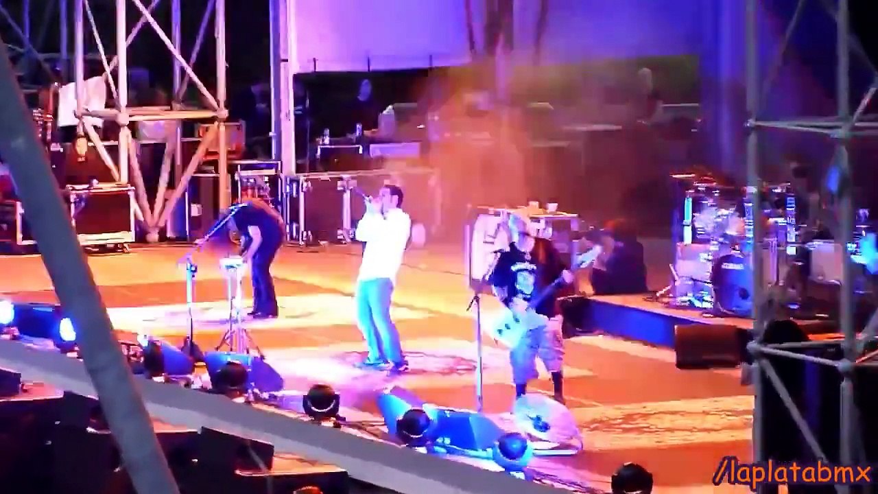 Daron Malakian Crazy Acts - Part 4