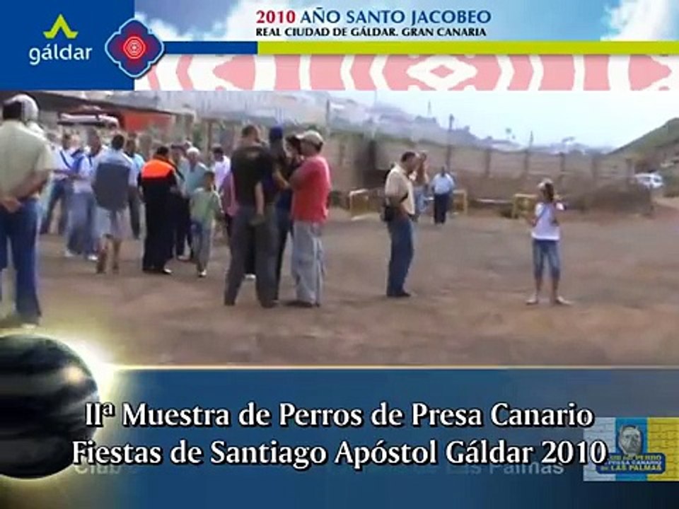 Presa Canario IIª Muestra de presa Canario Gáldar 2010