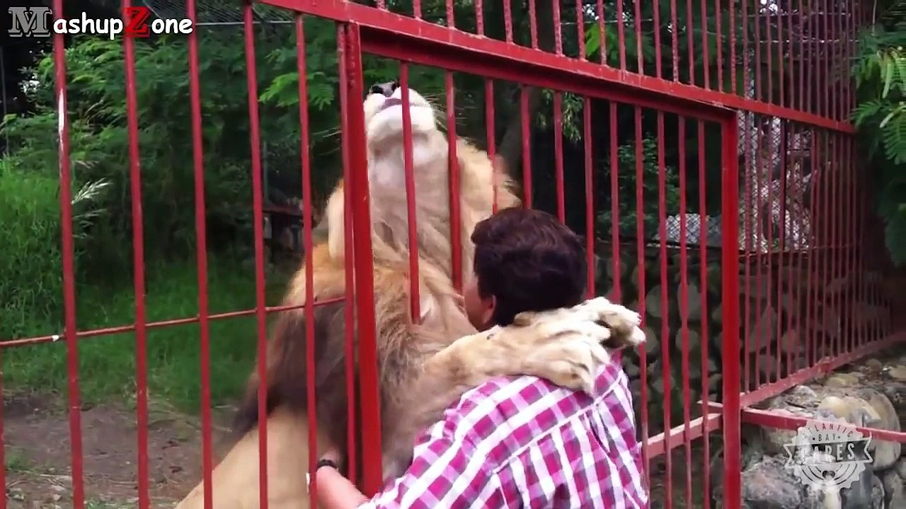 Into the Wild Animal Bloopers