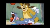 Tom and Jerry cartoon - the truce hurts
