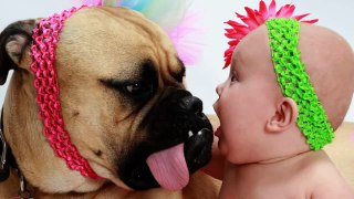 schattige babys en honden samen spelen  funny baby