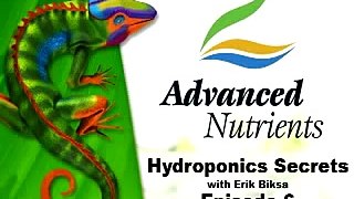 Hydroponics Secrets 6, Voodoo Juice