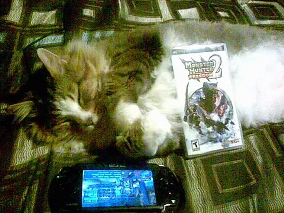 Shonen Knife - I am a Cat