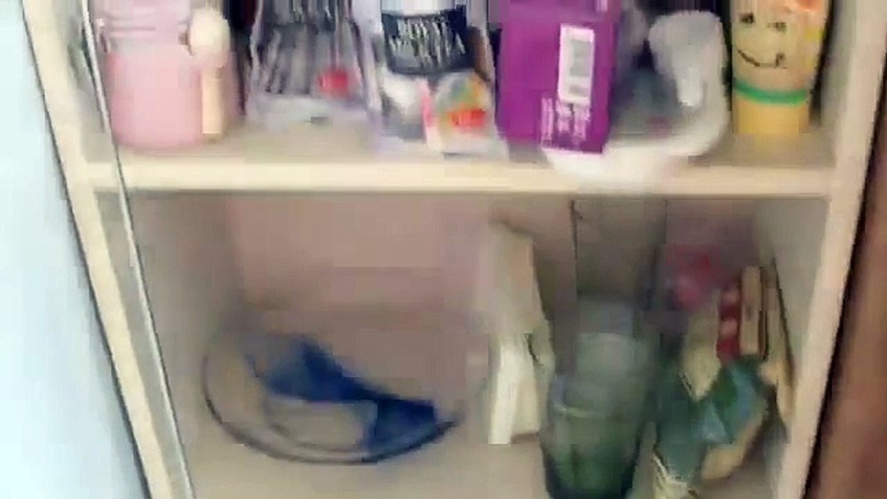 My Apartment in Japan (Ogikubo)