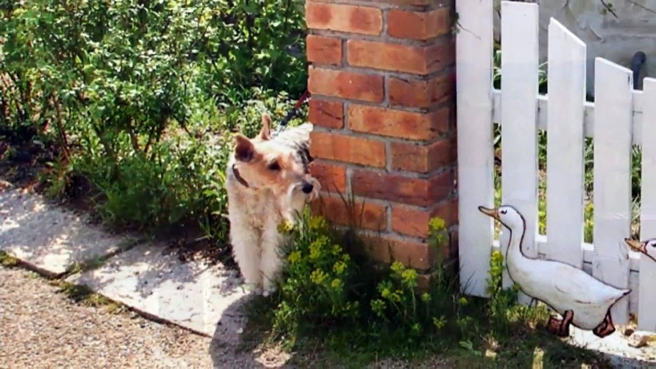 Across The Universe    - Nothing's gonna change my world -