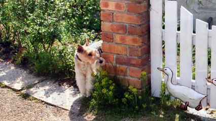 Across The Universe    - Nothing's gonna change my world -