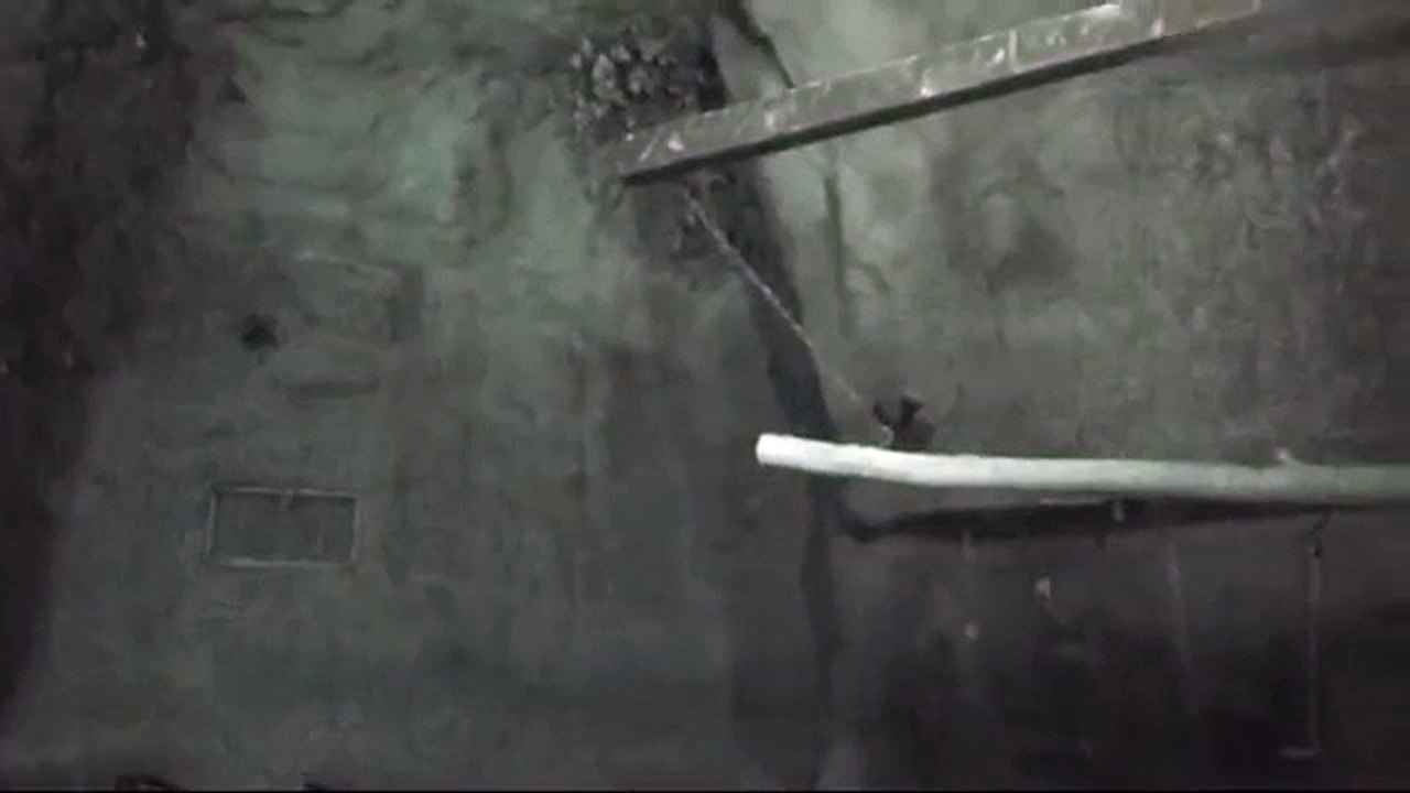 De Vleermuizengrot - Diergaarde Blijdorp (Rotterdam)