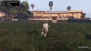 STILL THE CAT ..... IS A DOG? GTAV Xbox One Gameplay