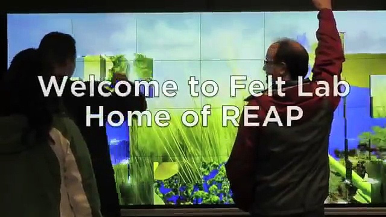 REAP and Felt Lab.mov