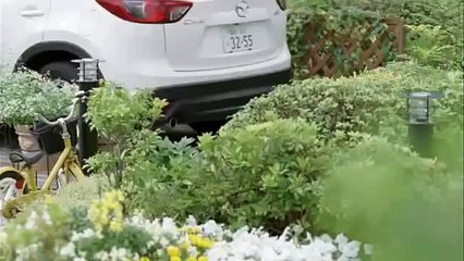 【柴犬癒し動画】積水ハウスCMの柴犬がかわい過ぎてやばい。。