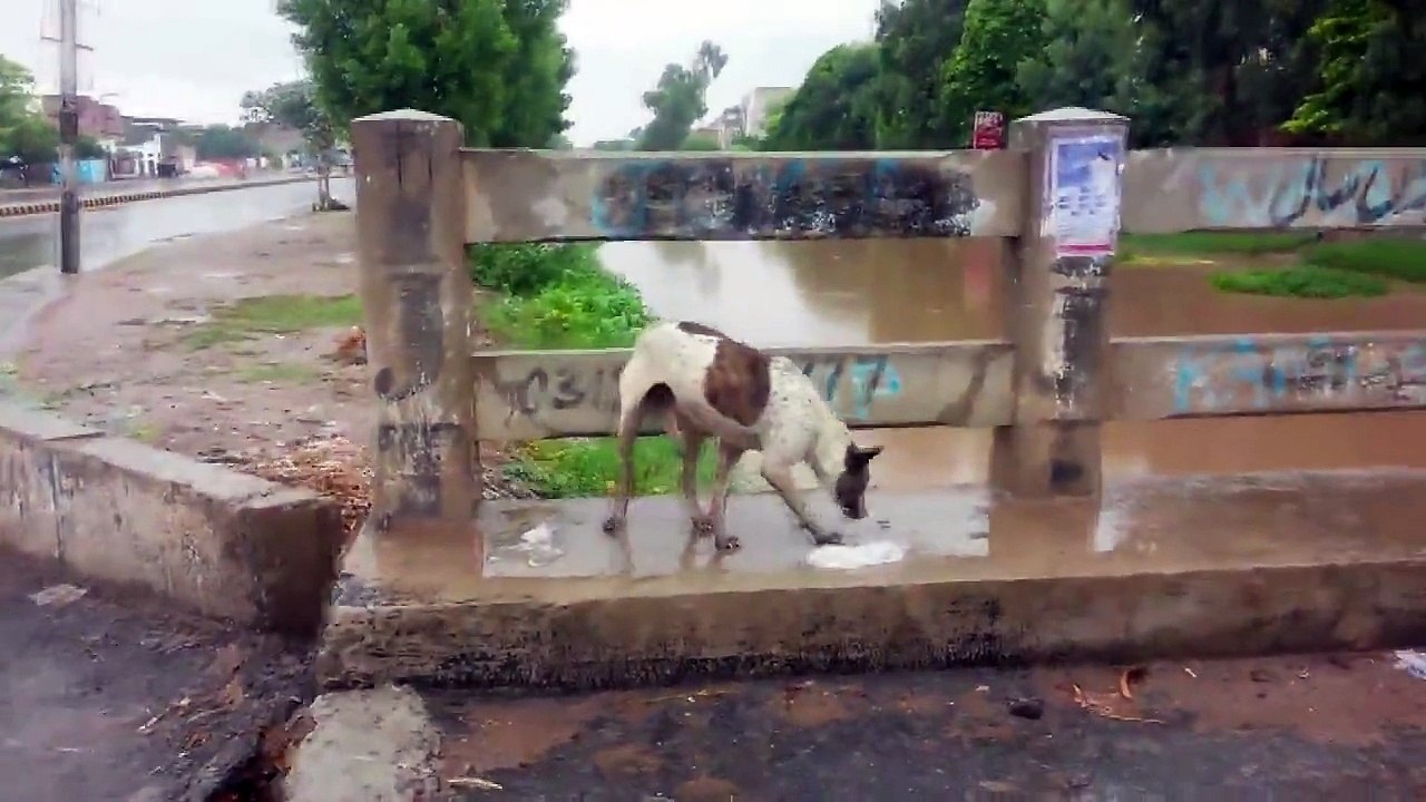 A Rainy Day In My city Vlog Pakistan!