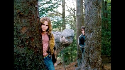 TAG: 50 perguntas relacionadas a Harry Potter - parte II
