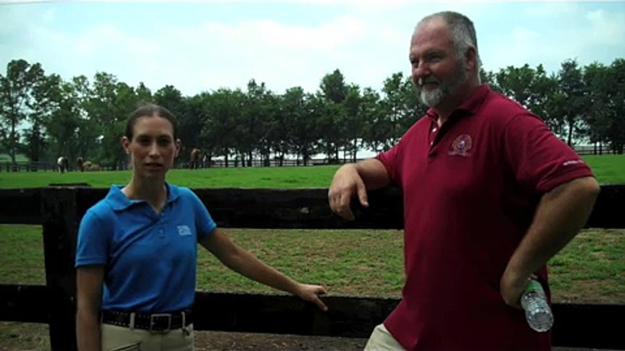 Horse Illustrated Test Ride: Polo