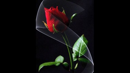 Eugen Doga ~ Waltz of Roses ~