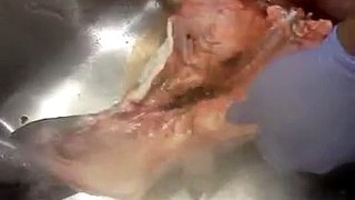Cutting up a fish part 2