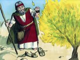 Bible Stories - Moses and the Burning Bush