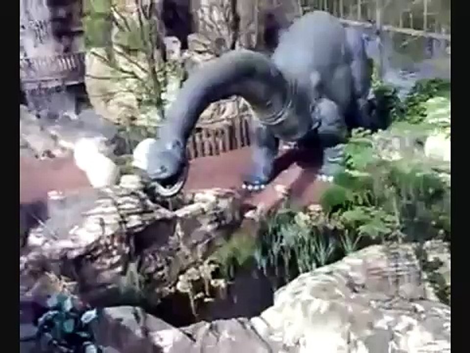 Monosaurus - Mirabilandia