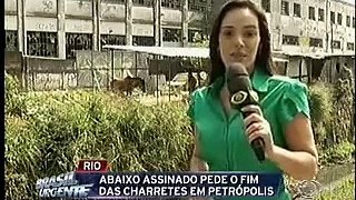 Animais escravizados sofrem maus tratos em charretes de Petrópolis - Brasil Urgente Rio 14/03/13