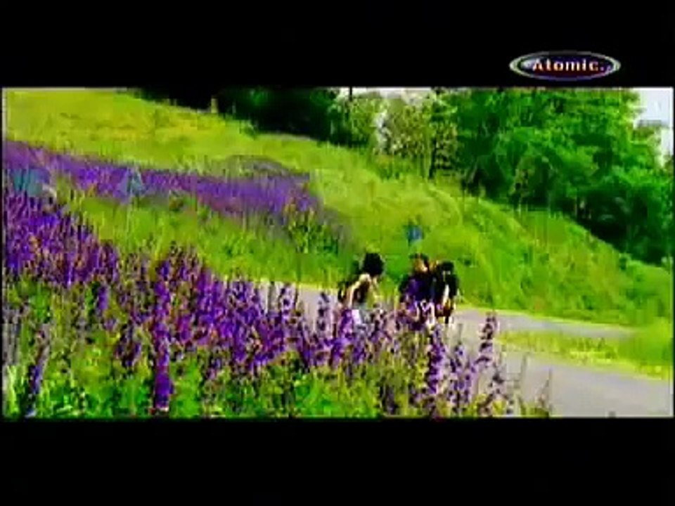 HOLOGRAF-Viata are gust