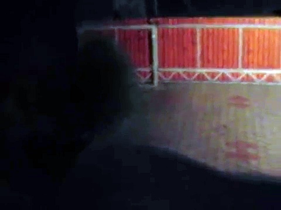 neurje Ptuj 15.8.08 (orešje)