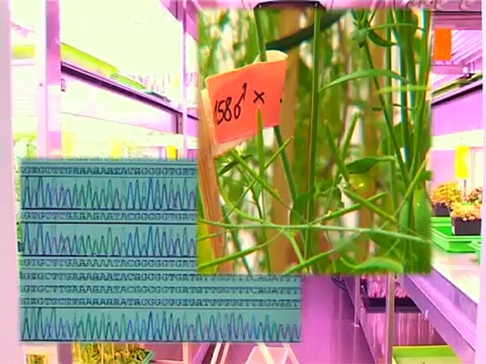 Max Planck Institute for Chemical Ecology