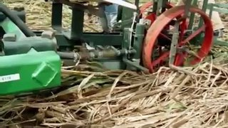 Organic High Residue Reduced-Till Roller Crimper: Weed Em and Reap