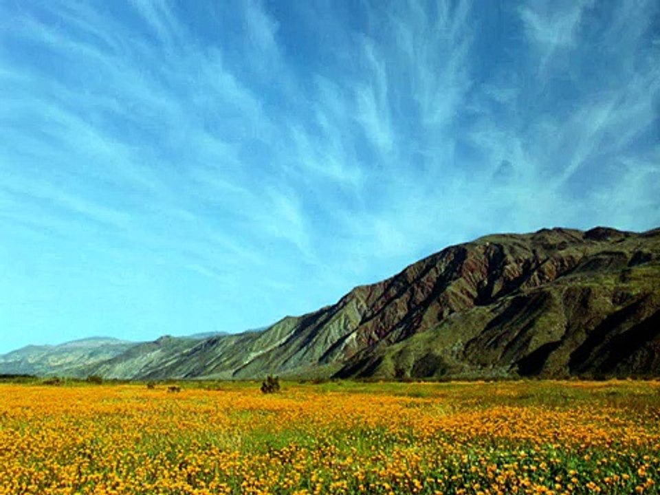 Cliff Coenraad - Distorted Reality (Reshizzled Remix)