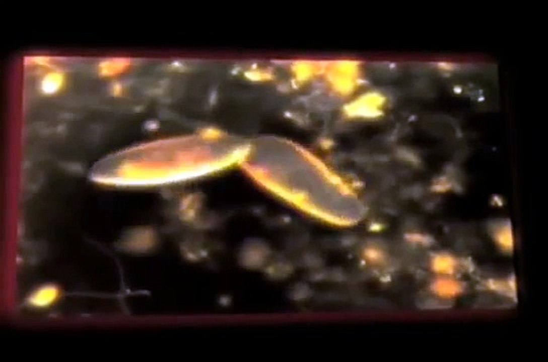 KYMATICA: Shadow Self: Awakening - Knowing / Accepting Self