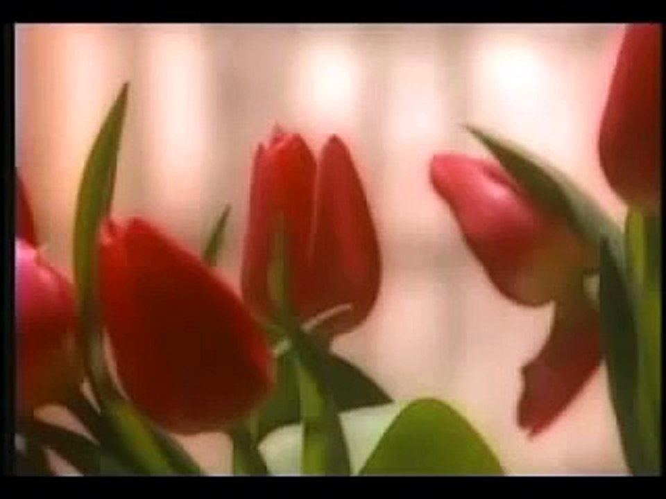 Indecent Obsession & Mari Hamada - Fixing A Broken Heart