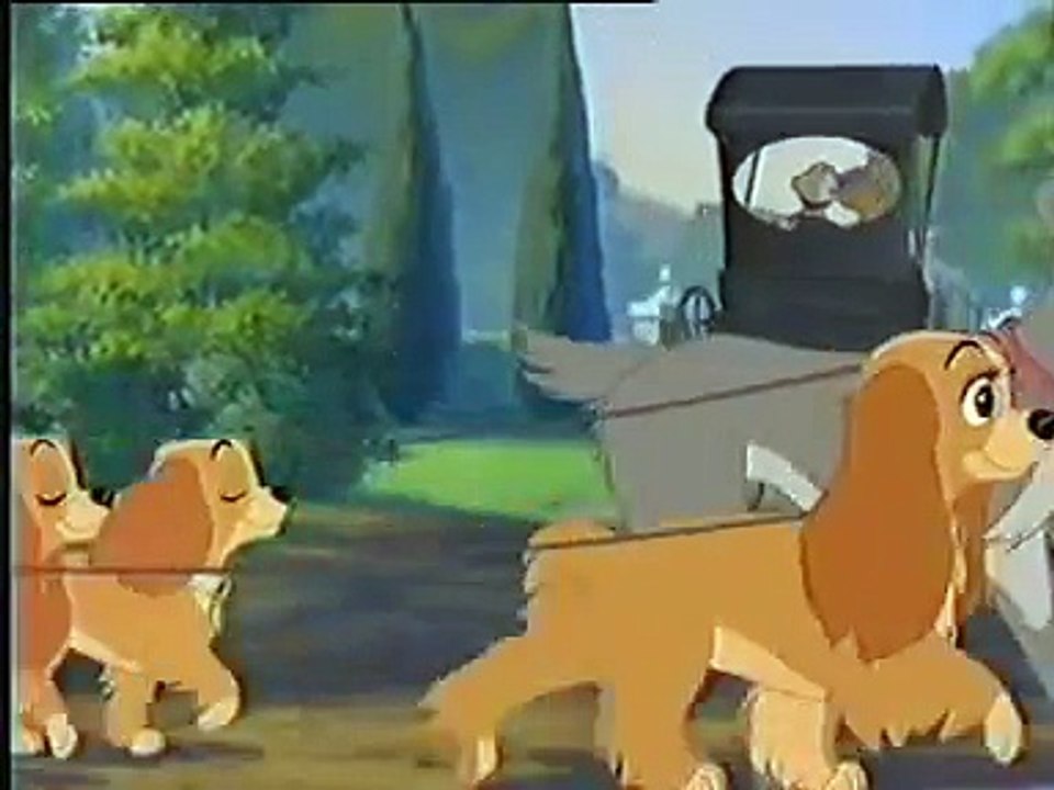 Lady And The Tramp [thai]