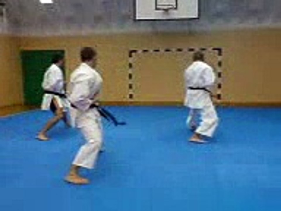 kanku sho kata - bunkai