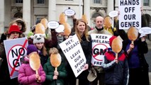Protesters Oppose Introduction of Genetically Modified Potatoes to Ireland