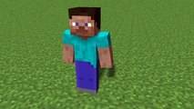 dancing steve minecraft animation