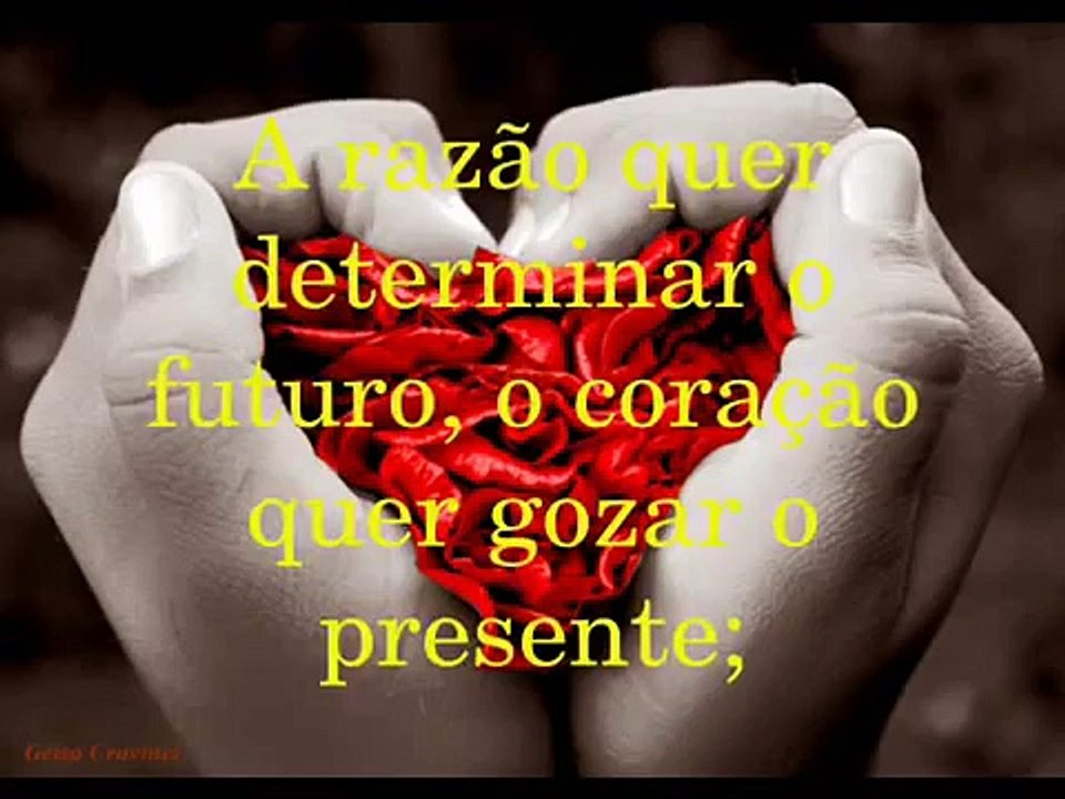 André Massolini - O coração tem razões que a própria razão desconhece