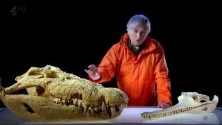 Richard Dawkins - Inside Natures Giants The Crocodile