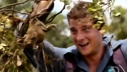 Man Vs Wild   Catching A Giant Bull Frog For Dinner